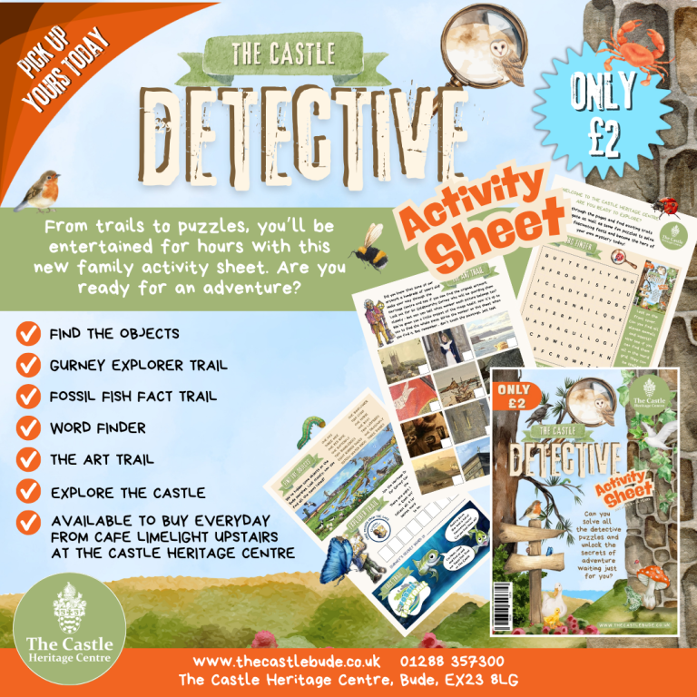 Detective Activity Sheet Instagram Post